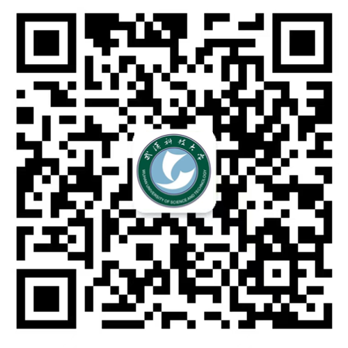1744251258126213.png